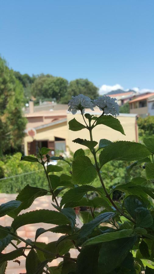 Il Girasole Bed & Breakfast Domus De Maria Luaran gambar
